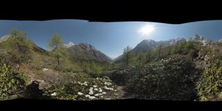 小金县长坪沟 (47)